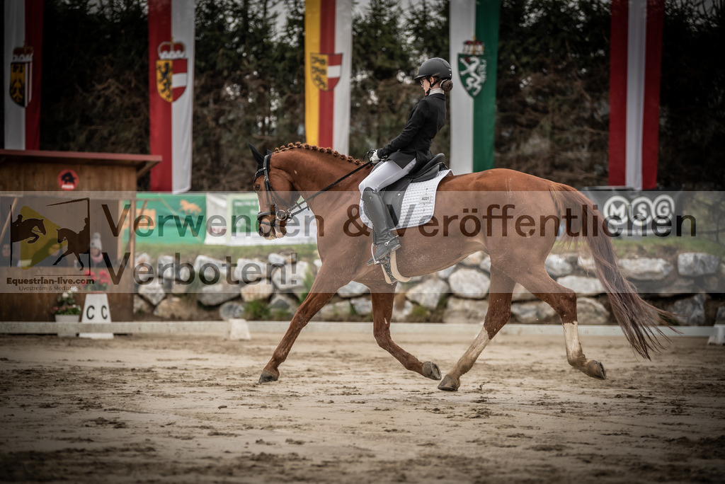 DSC_0168 | equestrian-live-com