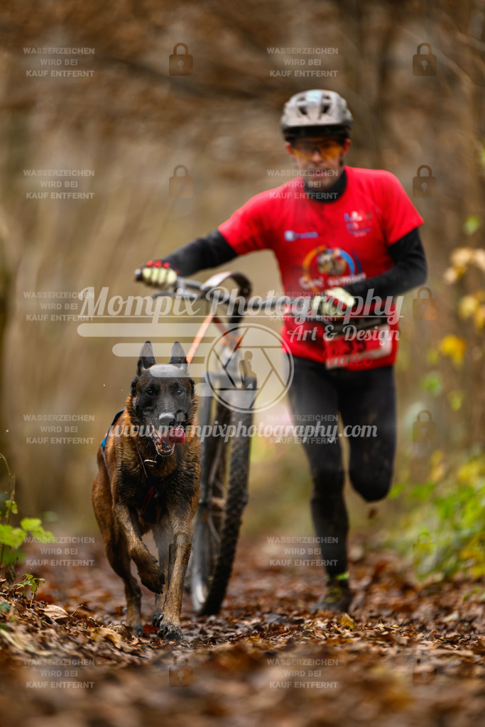MompixPhotography_Eschau2024_DS1-30 | PayLife