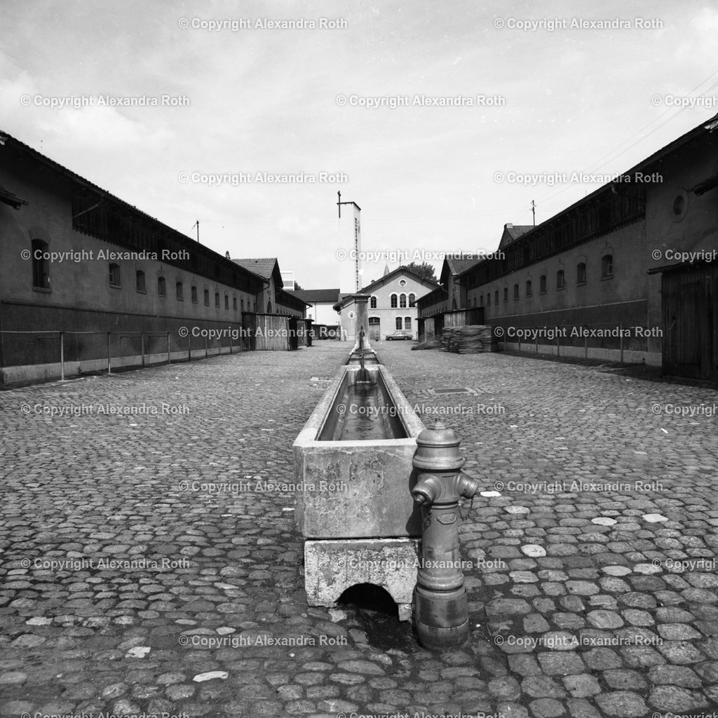 Aarau_0682 | onlineshop - Realisiert mit Pictrs.com