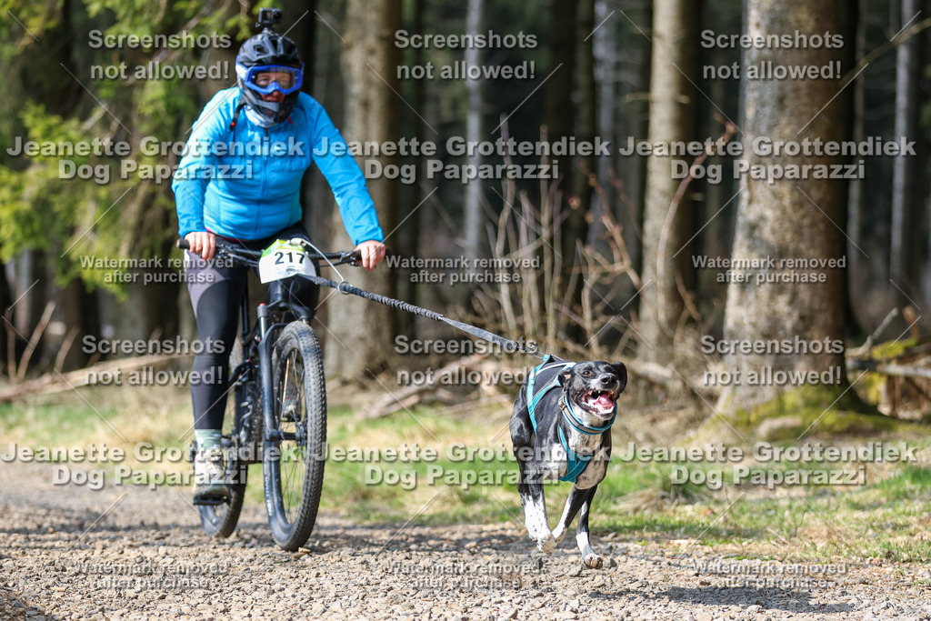 Dog Paparazzi - VCC26-251 | Dog Paparazzi Jeanette Grottendiek Fotografie & Videografie - Realisiert mit Pictrs.com