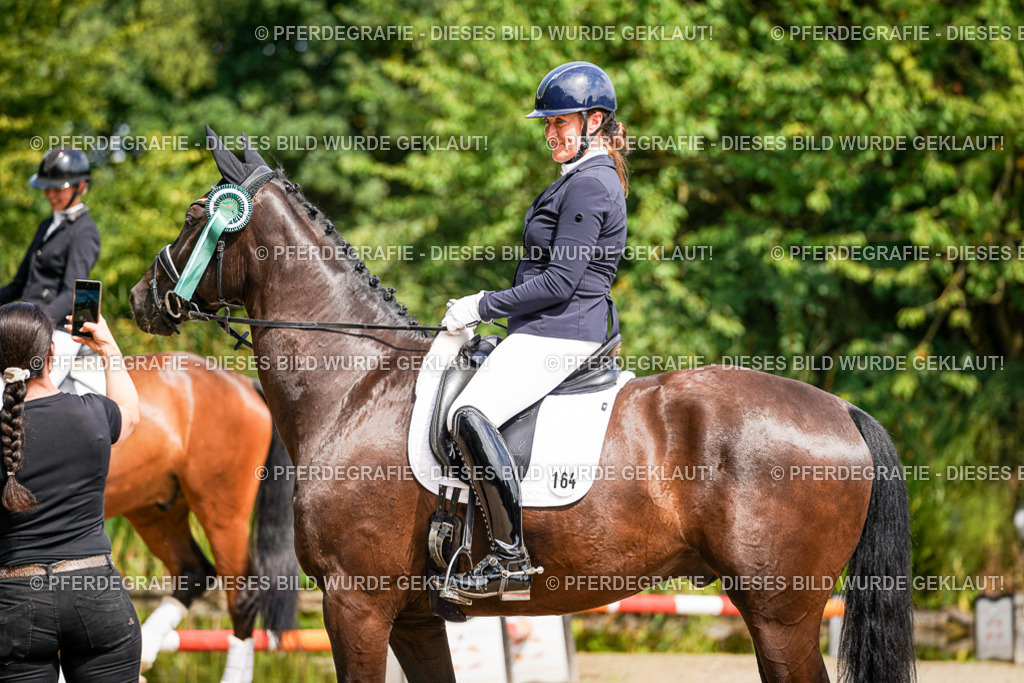 DSC09829 | Pferdegrafie