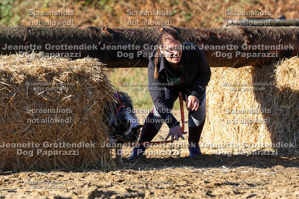 Dog Paparazzi - Strongdog 10-25-1527 | Dog Paparazzi Jeanette Grottendiek Fotografie & Videografie - Realisiert mit Pictrs.com