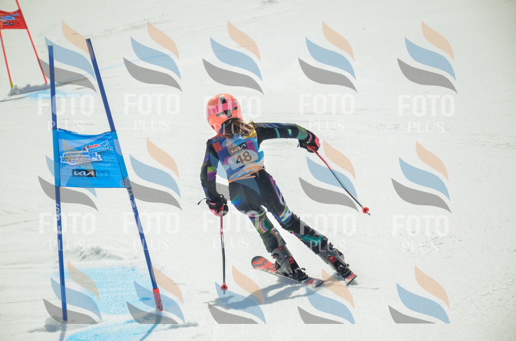 _ELE5165 | holidayphoto