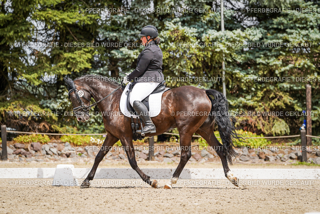 DSC02694 | Pferdegrafie