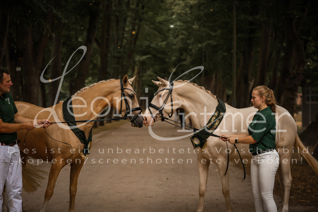 10.-12.Elite00154 | Leoni Ertmer Photography - Realisiert mit Pictrs.com