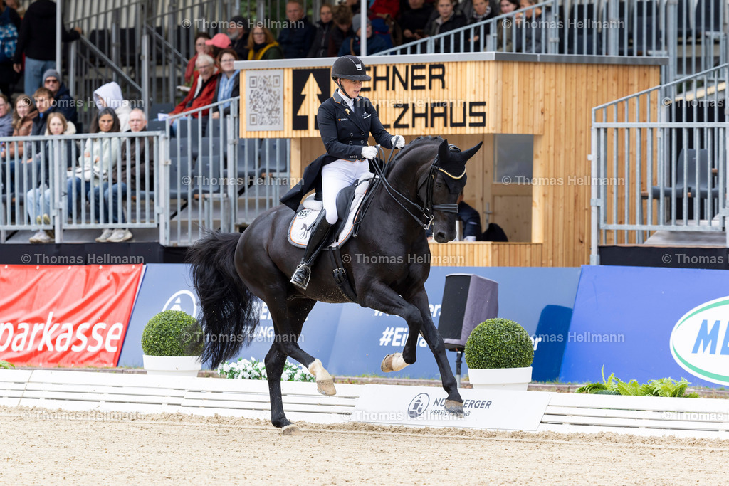 TH_332-HASSMANN Lena (GER)_ Maddox Mart_21714 | CHI Donaueschingen 2024 am 14.09.24 in Donaueschingen, 332HASSMANN Lena (GER), Maddox Mart