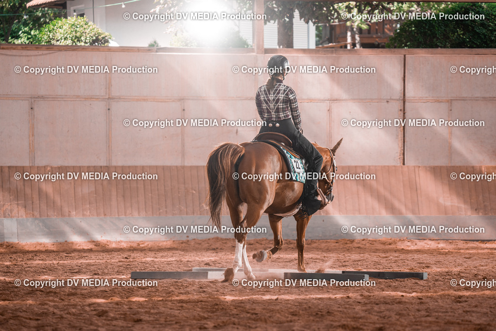 NE200249 | dv-media-shop - Realisiert mit Pictrs.com