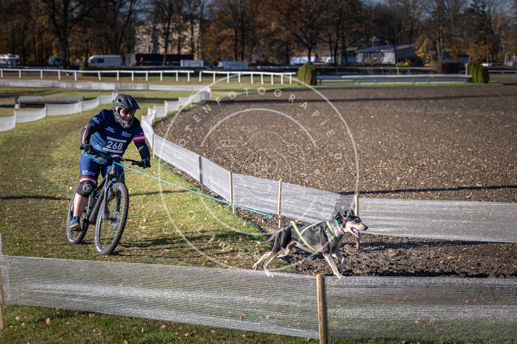 CaniXpix_DV3A5091 | Hundefotografie, Tierfotograf, Pfotenfotografie, Fotoshooting Hund, Hunde Portrait, Hundesport, Hundeportraits, Heideshooting, Hunde, Sportfotograf, Hundefotograf, Turnierhundsport, THS,  - Realisiert mit Pictrs.com
