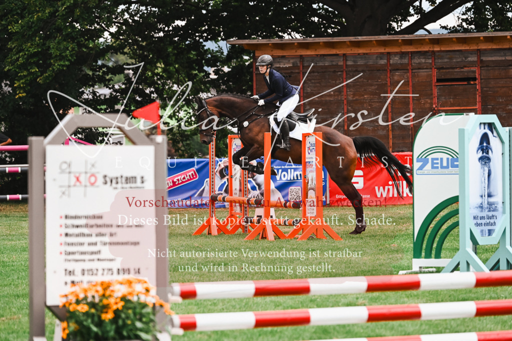DSC_5996 | Pferde- und Turnierfotografie in Westsachsen. Pferdeportraits, Auftragszeichnungen und intuitive Kunst.
