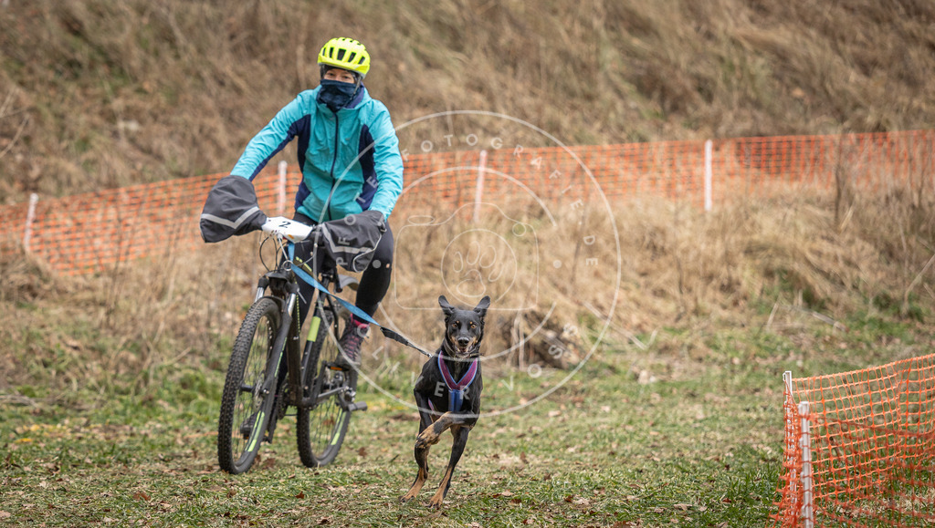 Pfotenfotografie_DV3A6987 | Hundefotografie, Tierfotograf, Pfotenfotografie, Fotoshooting Hund, Hunde Portrait, Hundesport, Hundeportraits, Heideshooting, Hunde, Sportfotograf, Hundefotograf, Turnierhundsport, THS,  - Realisiert mit Pictrs.com