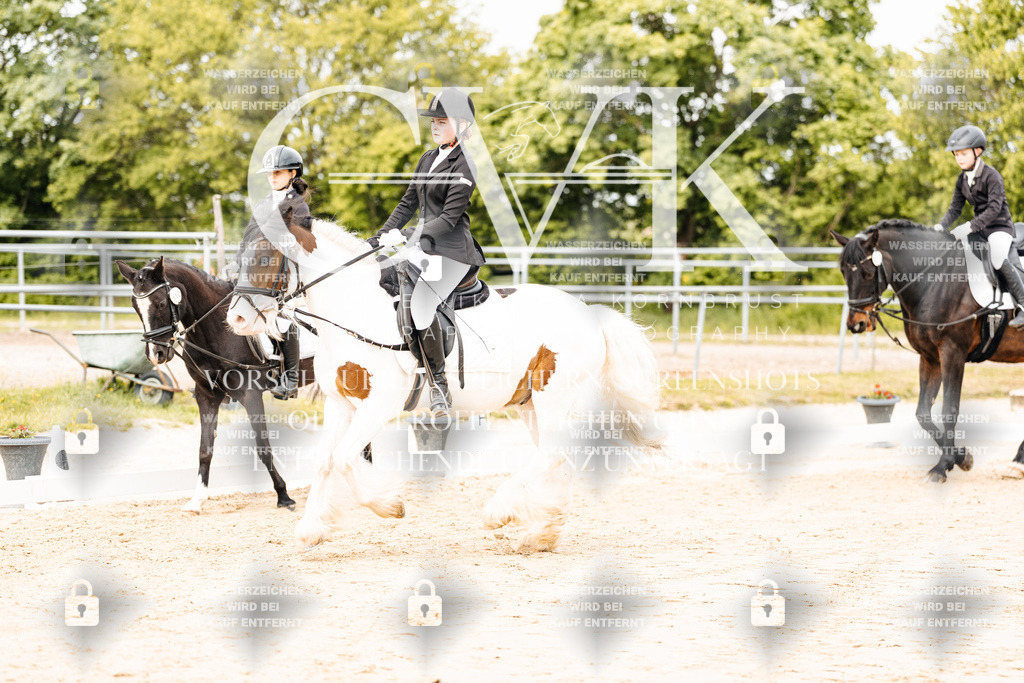 CK904321 | Turnierfotografie Pferdefotografie Trier Rheinland-Pfalz Pferdesport Reitsport Tierfotografie Sportfotografie Pferdevideo Pferdevideografie Equestrianvideography equestrianphotography  - Realisiert mit Pictrs.com