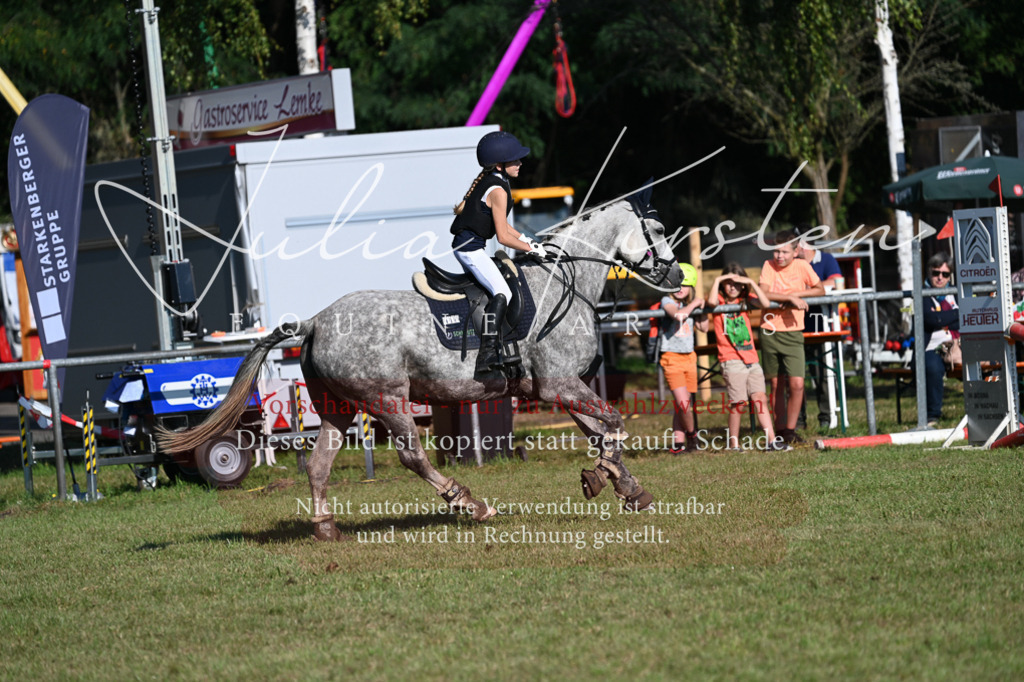 DSC_5061 | Pferde- und Turnierfotografie in Westsachsen. Pferdeportraits, Auftragszeichnungen und intuitive Kunst.