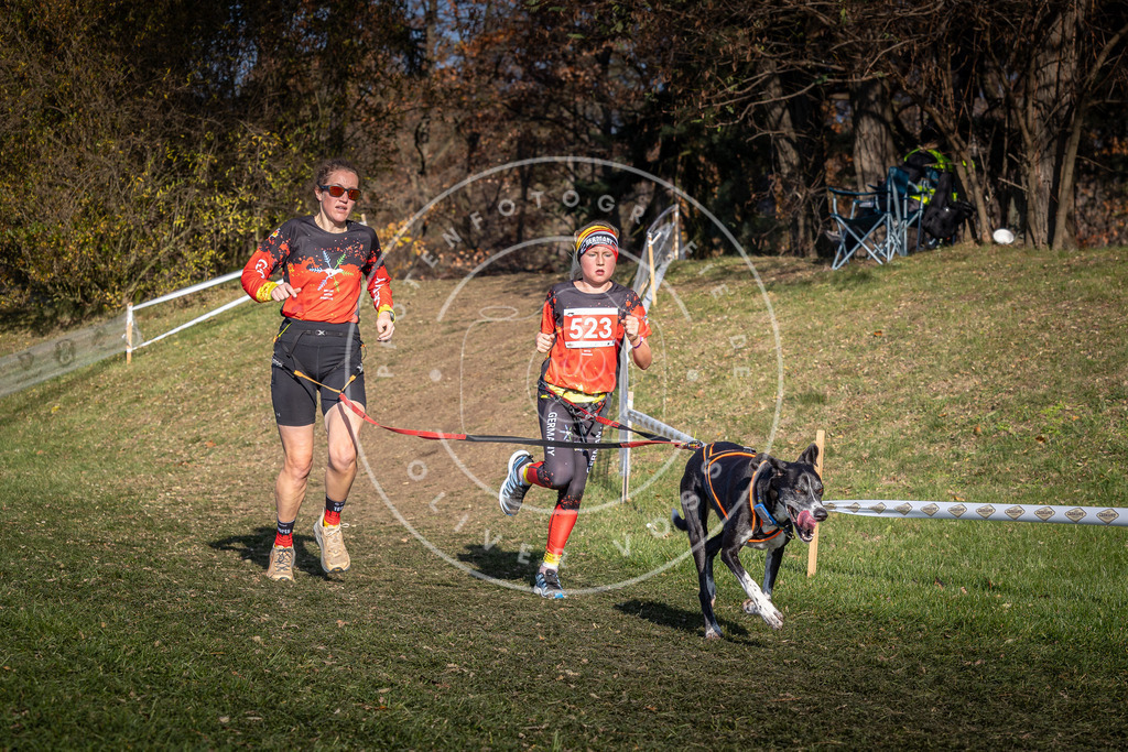 CaniXpix_0L8A8650 | Hundefotografie, Tierfotograf, Pfotenfotografie, Fotoshooting Hund, Hunde Portrait, Hundesport, Hundeportraits, Heideshooting, Hunde, Sportfotograf, Hundefotograf, Turnierhundsport, THS,  - Realisiert mit Pictrs.com