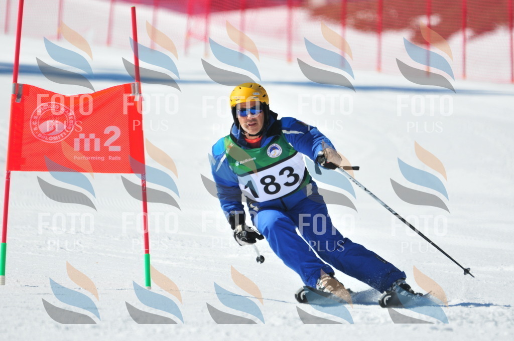 C4314 | holidayphoto