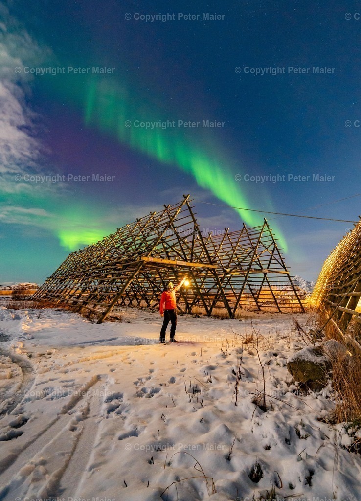 Lofoten_Nov_2023_Peter_Maier-3626 | piet_flosse
