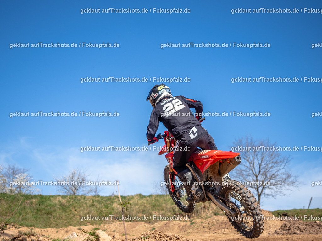 Schweyen040525-188 | Trackshots.de / Fokuspfalz.de - Realisiert mit Pictrs.com