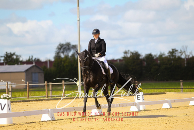 DKP45253 | Turniersportfotografie; Pferdefotografie; Dressurfotografie