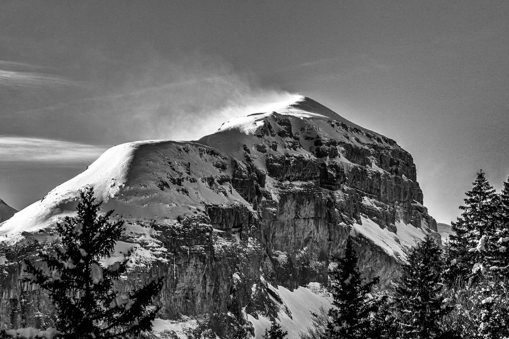 2024_01_14 A7V03043 | bridgeman - Realisiert mit Pictrs.com