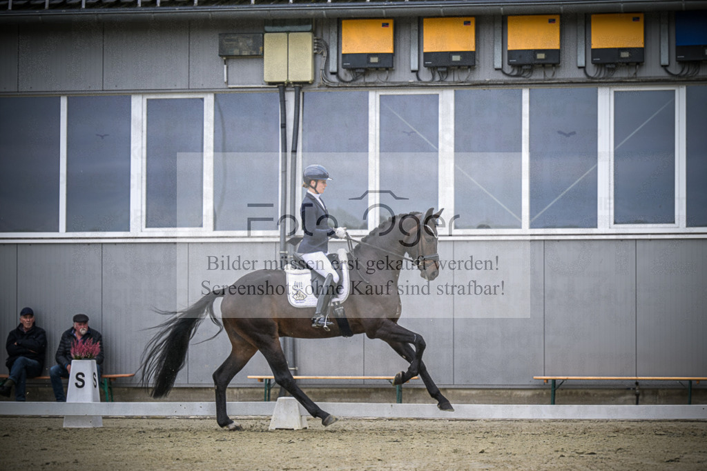 DOS_0503 | Entdecke hochwertige Reitturnierfotos von Foto Oger. Professionell, emotional und authentisch – jetzt Lieblingsmomente im Shop bestellen. - Realisiert mit Pictrs.com