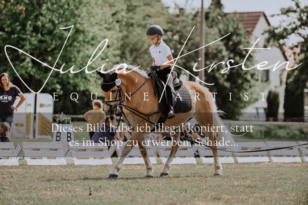DSC_7749 | Pferde- und Turnierfotografie in Westsachsen. Pferdeportraits, Auftragszeichnungen und intuitive Kunst.