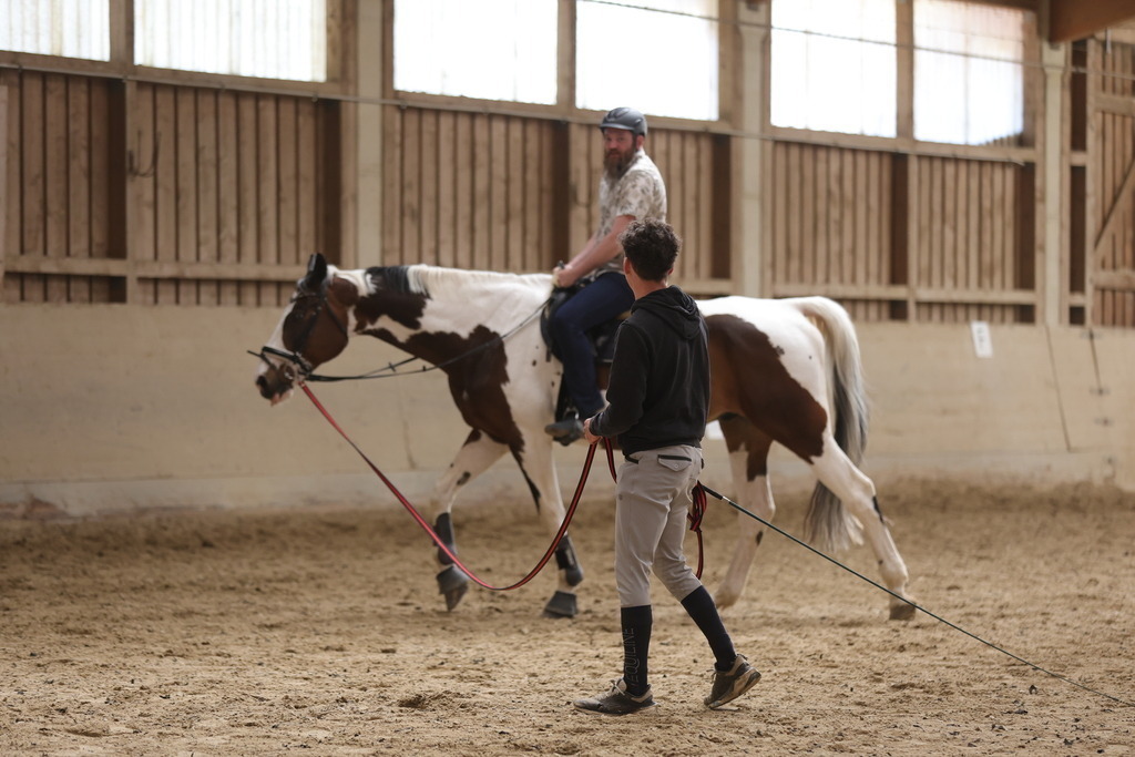 0P6A9076 | Willkommen bei Brunnmayr - Design & Fotografie – Ihrem Spezialisten für Reitturniere und Pferdeveranstaltungen in Oberösterreich, Salzburg und Bayern! Seit über 17 Jahren sind wir leidenschaftlich dabei.
