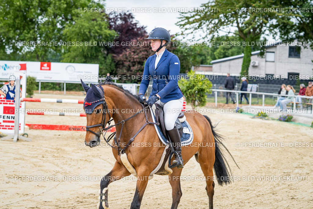 DSC04161 | Pferdegrafie