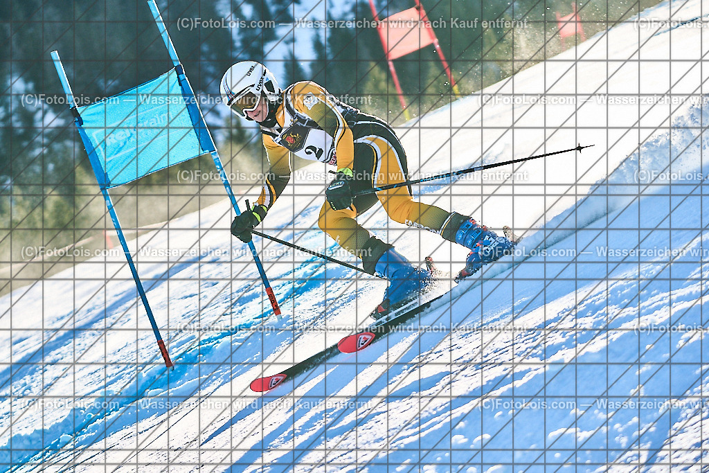 ALP1410_FIS-MastersCup_Reiteralm_Giant-SL_Franke-Williams Marg | FIS-MastersCup GIANT-SLALOM auf der Reiteralm in Pichl, Sa 18. Jänner 2025.