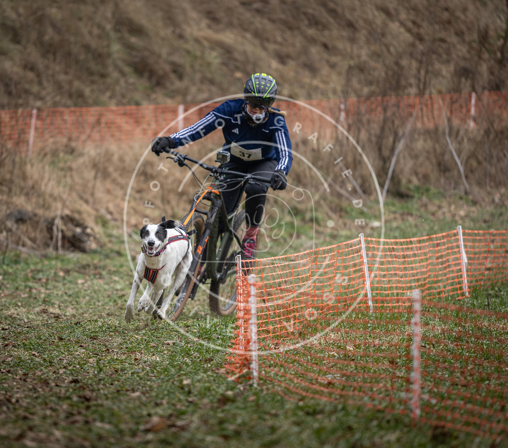 Pfotenfotografie_DV3A9787 | Hundefotografie, Tierfotograf, Pfotenfotografie, Fotoshooting Hund, Hunde Portrait, Hundesport, Hundeportraits, Heideshooting, Hunde, Sportfotograf, Hundefotograf, Turnierhundsport, THS,  - Realisiert mit Pictrs.com
