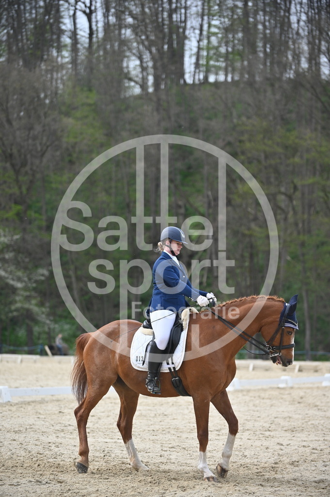 DSC_5023 | sattelsport - Realisiert mit Pictrs.com