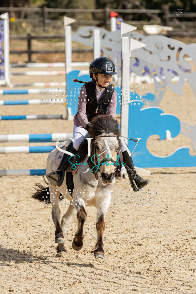 IMG_4445 | s-jay-photography - Realisiert mit Pictrs.com