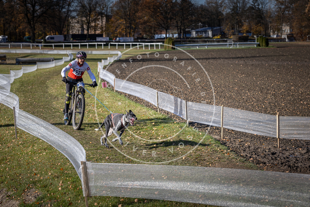 CaniXpix_DV3A6606 | Hundefotografie, Tierfotograf, Pfotenfotografie, Fotoshooting Hund, Hunde Portrait, Hundesport, Hundeportraits, Heideshooting, Hunde, Sportfotograf, Hundefotograf, Turnierhundsport, THS,  - Realisiert mit Pictrs.com