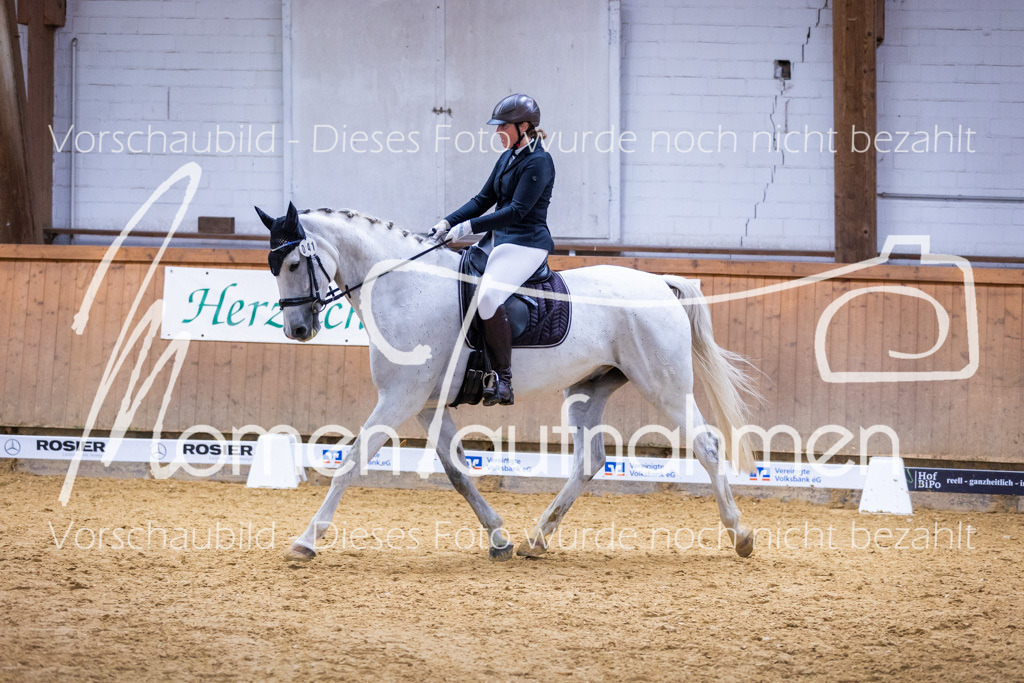 Sth-A-Dre-2St-079 | MomenTaufnahmen Pferdesportfotos