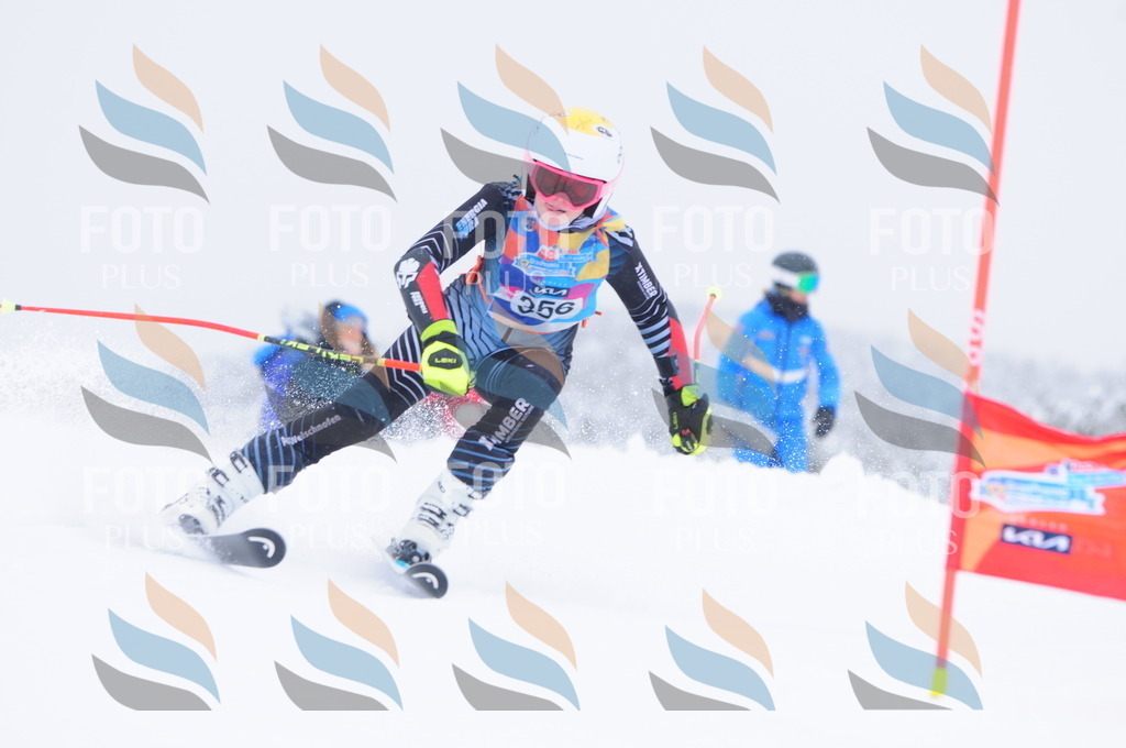 C3804 | holidayphoto