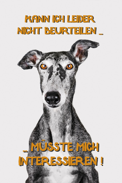 Nico kann das nicht beurteilen | "Kann ich leider nicht beurteilen... müsste mich interessieren!"