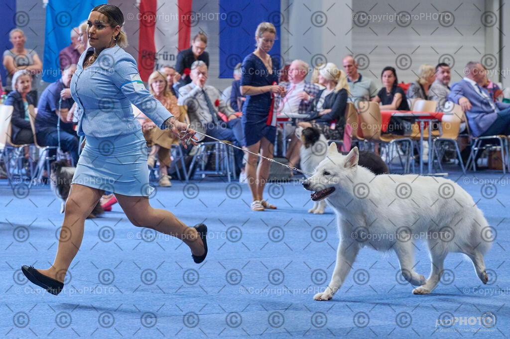 202406_ÖKV-IHA-Tulln24_DSC_4942 | proPHOTO - Realisiert mit Pictrs.com