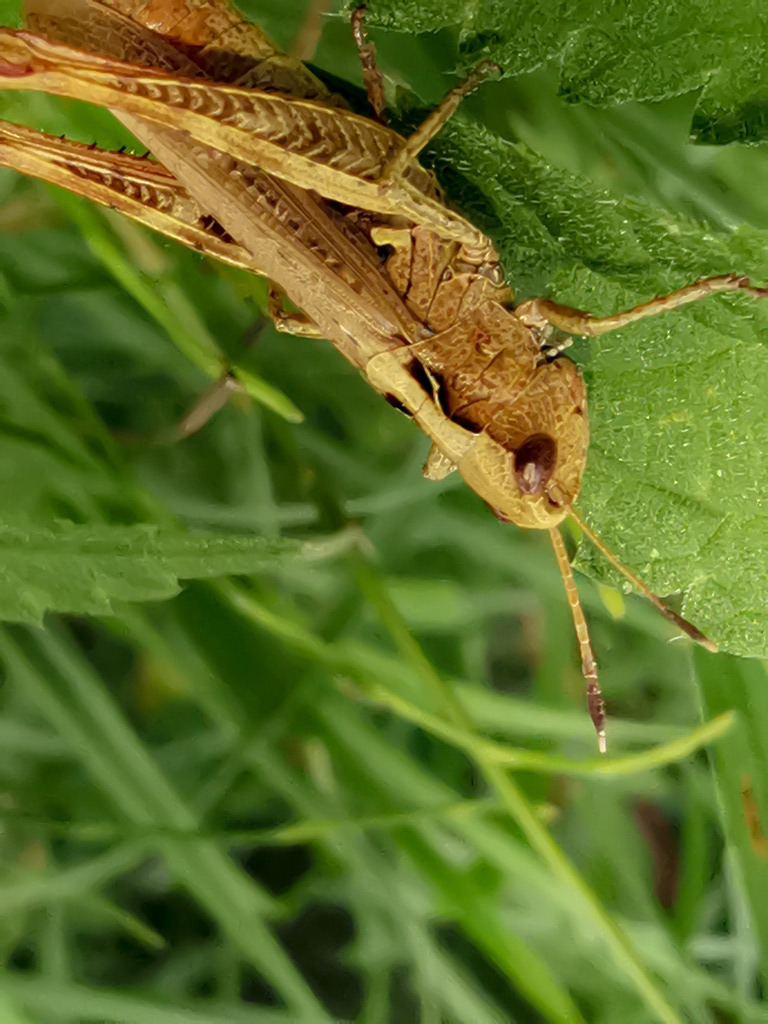 PSX_20230825_224812 | mtkfoto_ - Realisiert mit Pictrs.com