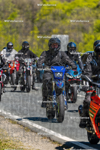 MSFotoServiceXXX448 | MSFotoService - Realisiert mit Pictrs.com