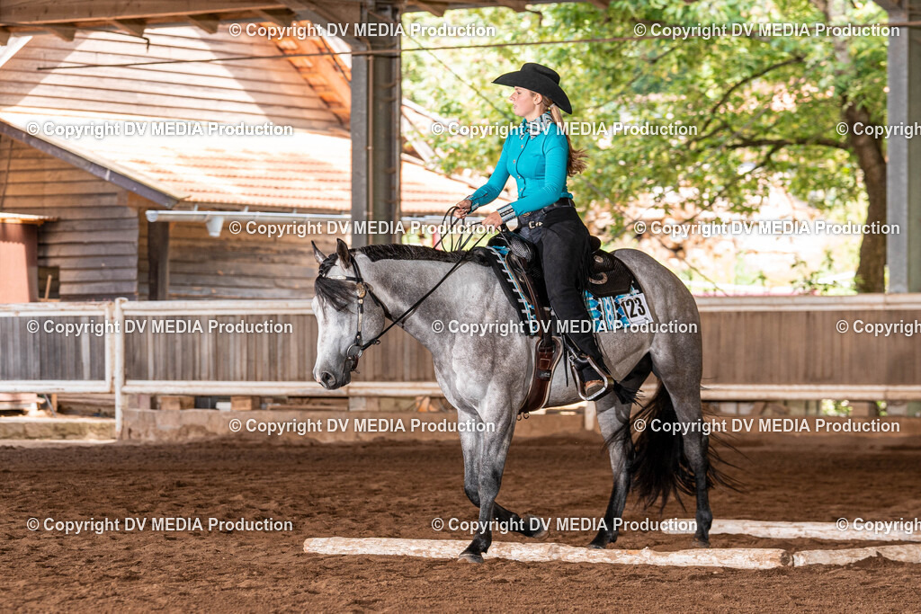 Erbach Tag 2-407 | dv-media-shop - Realisiert mit Pictrs.com