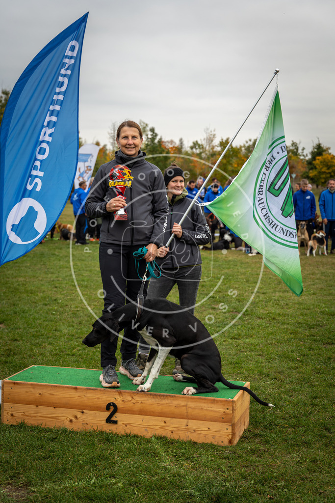 Pfotenfotografie_0L8A0386 | Hundefotografie, Tierfotograf, Pfotenfotografie, Fotoshooting Hund, Hunde Portrait, Hundesport, Hundeportraits, Heideshooting, Hunde, Sportfotograf, Hundefotograf, Turnierhundsport, THS,  - Realisiert mit Pictrs.com