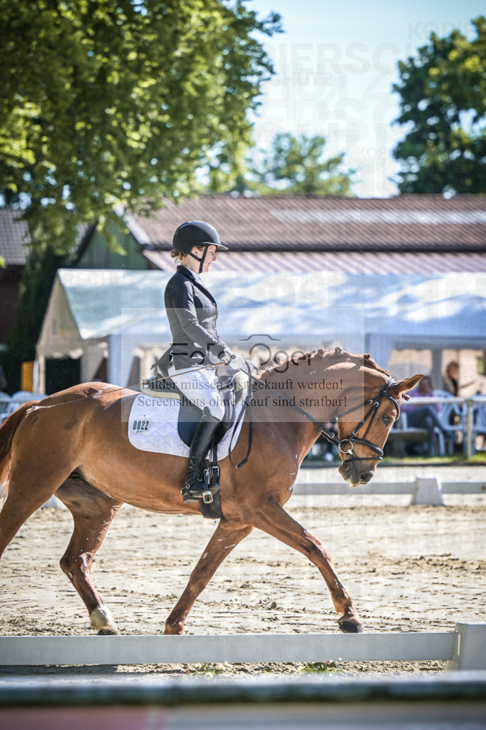 DOS_2736 | Entdecke hochwertige Reitturnierfotos von Foto Oger. Professionell, emotional und authentisch – jetzt Lieblingsmomente im Shop bestellen.Deutschlandweite Turnierfotografie. - Realisiert mit Pictrs.com
