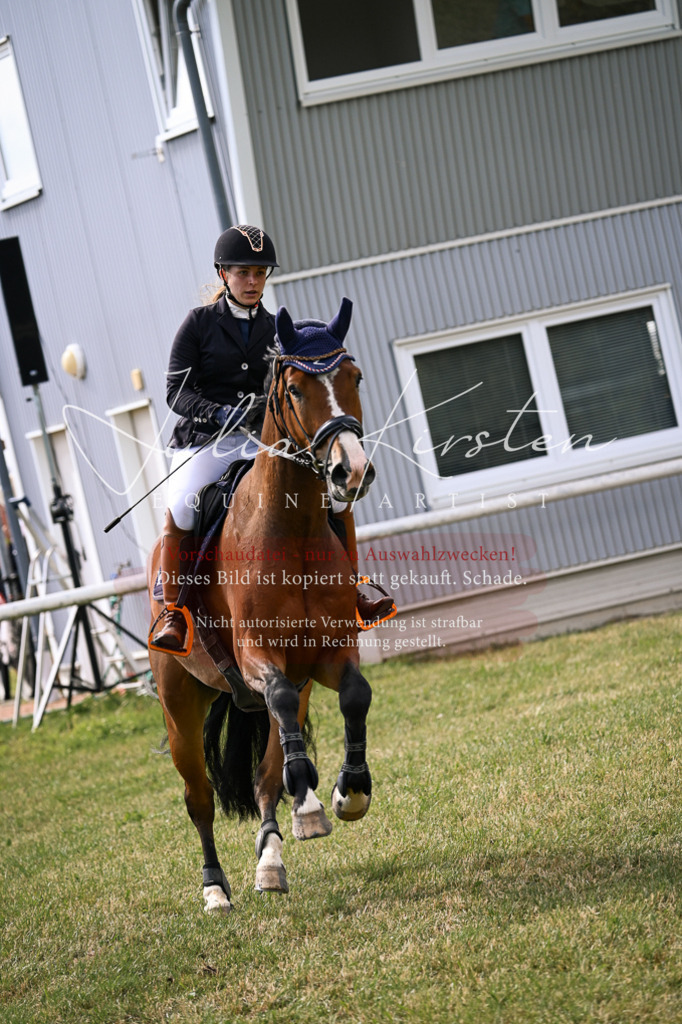 DSC_0916 | Pferde- und Turnierfotografie in Westsachsen. Pferdeportraits, Auftragszeichnungen und intuitive Kunst.
