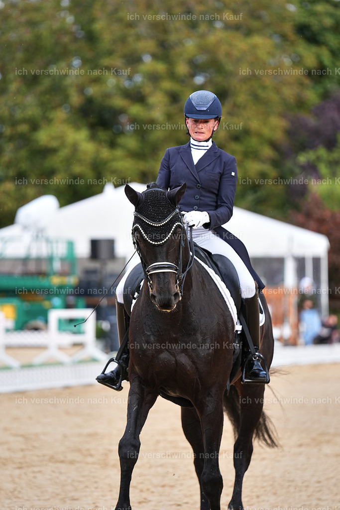 10-115-ST.GEORG SPECIAL -Marixx-3353 | working equitationturnier fotograf videograf stoibphotography marixx film working equitation deutschland reitsport turnierfotografie eventfotografie equestrian events