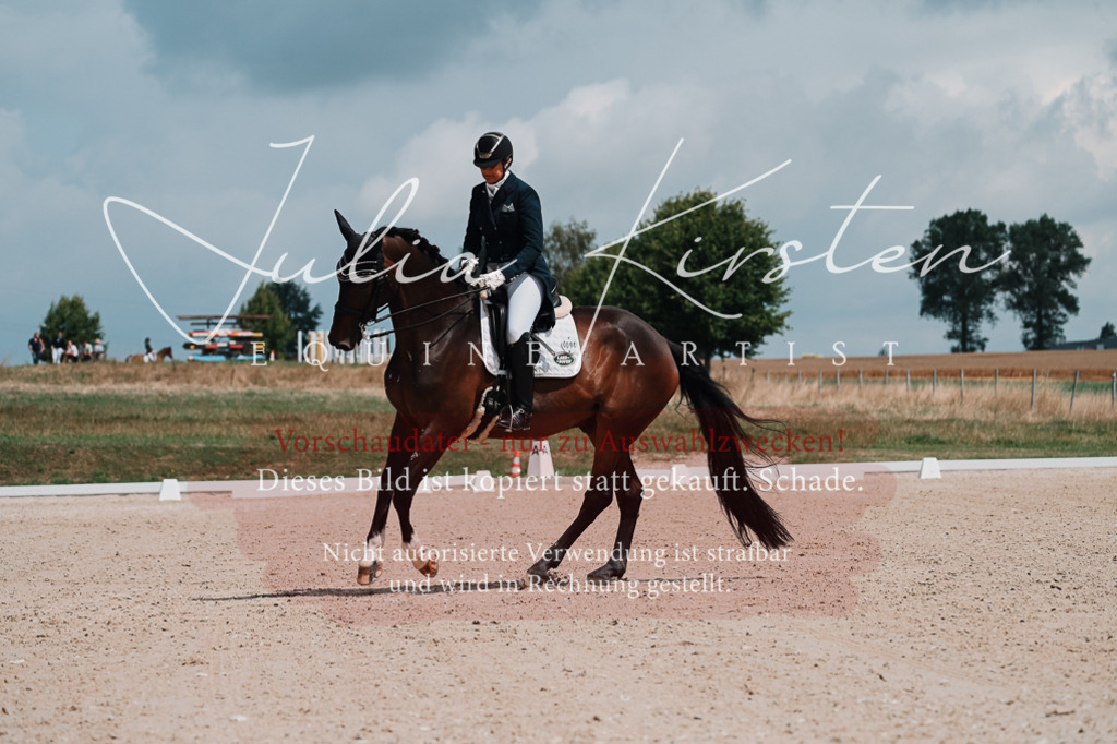 DSC_3873 | Pferde- und Turnierfotografie in Westsachsen. Pferdeportraits, Auftragszeichnungen und intuitive Kunst.