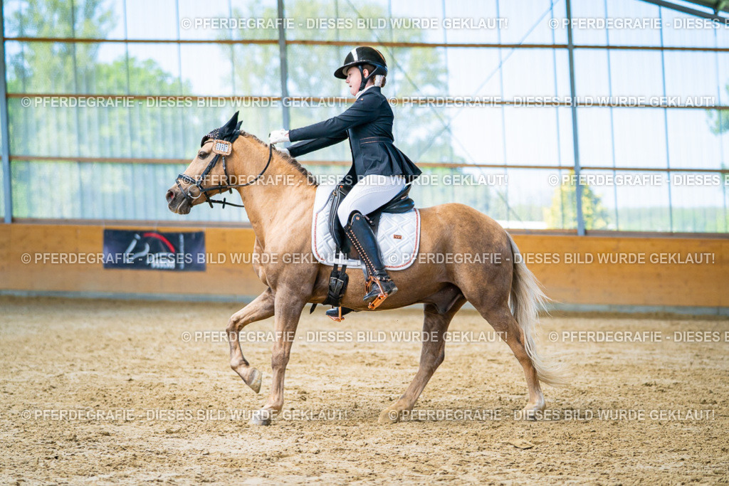 DSC07620 | Pferdegrafie