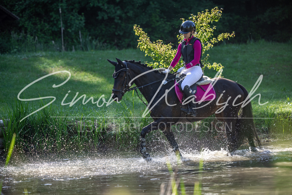 20260523-_3LI6223 | Tierfotografie Pferde, Hunde, Katzen, Haustiere.
Turnierfotografie Reitturniere, Reiten, Springreiten, Dressur in Hanau, dem Main-Kinzig-Kreis und dem Rhein-Main- Gebiet um Frankfurt