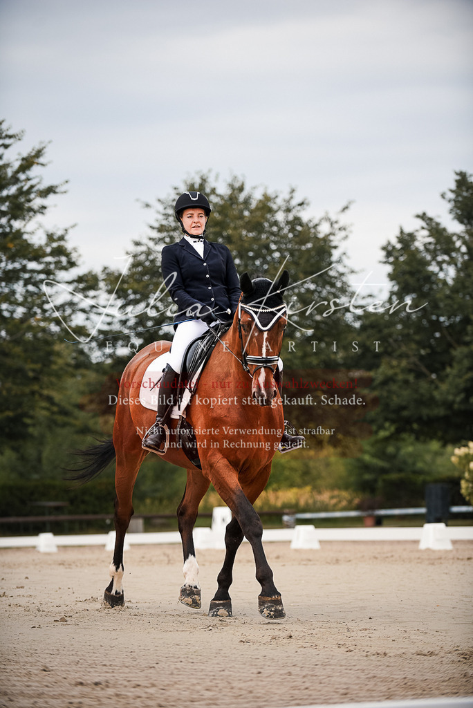 DSC_8059 | Pferde- und Turnierfotografie in Westsachsen. Pferdeportraits, Auftragszeichnungen und intuitive Kunst.