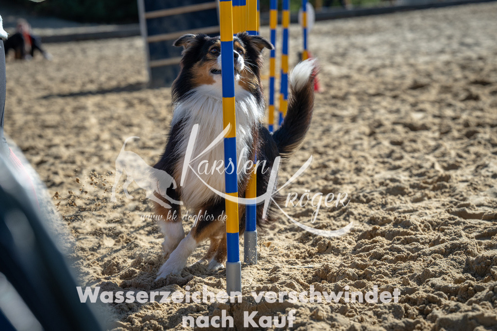 1129_ZZ91273 | kk-dogfotos