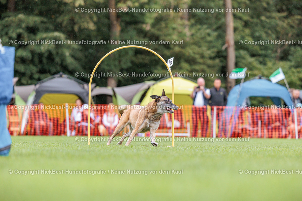 BSP Hoopers-H2 Tag2-2026-Nickbest-Hundefotografie-TuS Komet Arsten e.V.-5572 | Dein Hund! Dein Moment! Deine Erinnerungen! Hundefotografie in Bremen Blumenthal. Ich fange die besonderen Momente deines Vierbeiners ein – ob Indoor mit Blitzanlage oder in der freien Natur. Sicher dir dein Moment und dein Termin für eure Erinnerungen.