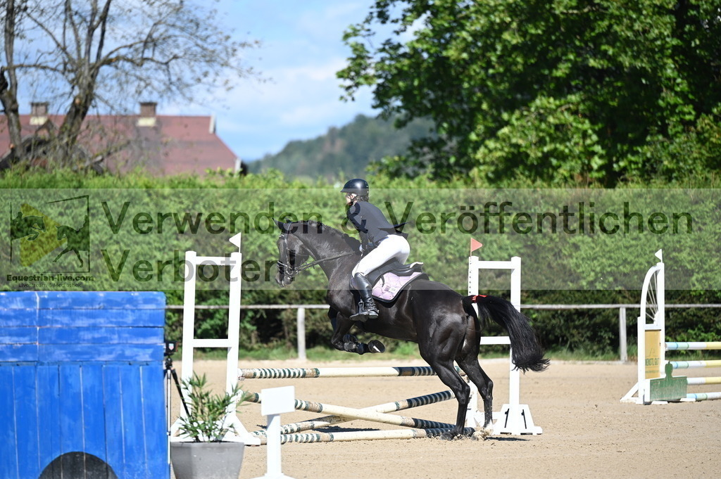 DSC_8108 | equestrian-live-com