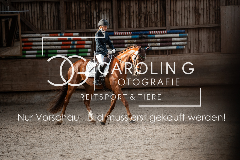 DSC02639 | Turnierfotografin Carolin Gieschke, Turnierfotografie Carolin G Fotografie, Turnierfotos Kirchheim/Teck, Esslingen, Stuttgart, Bodenseekreis